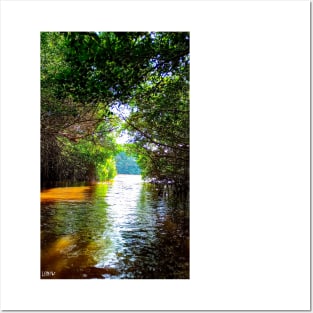 celestun ria wetland ecopark ecopop landscape photo in yucatan eye of the water tunnel Posters and Art